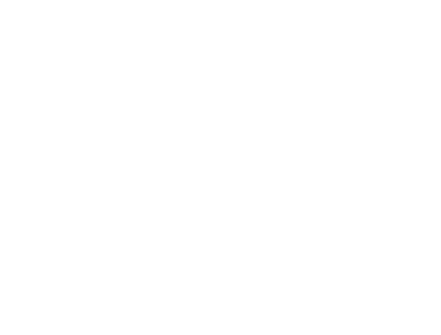 Agilify Website